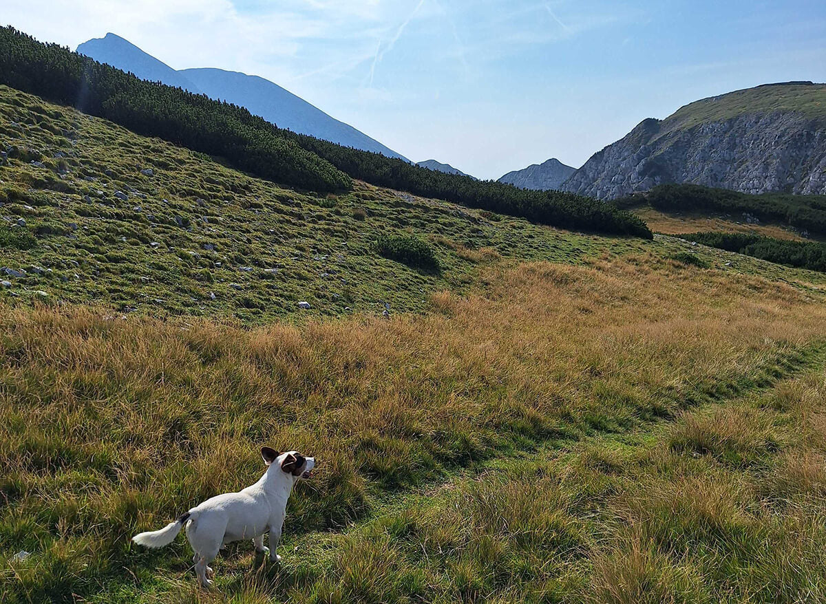 Nedeljski izlet na Vajnež