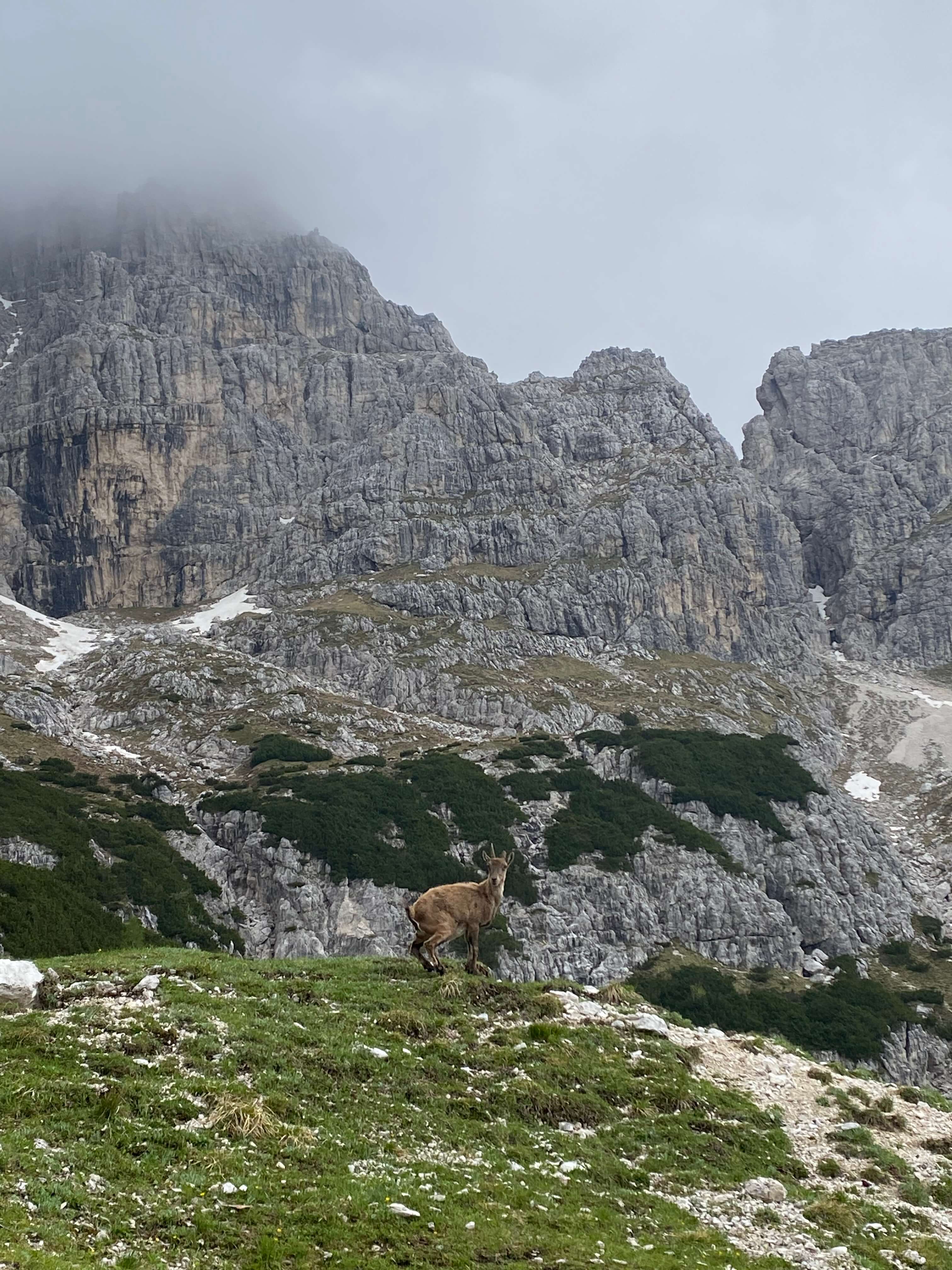 Via Weiss v Zahodnih Julijcih