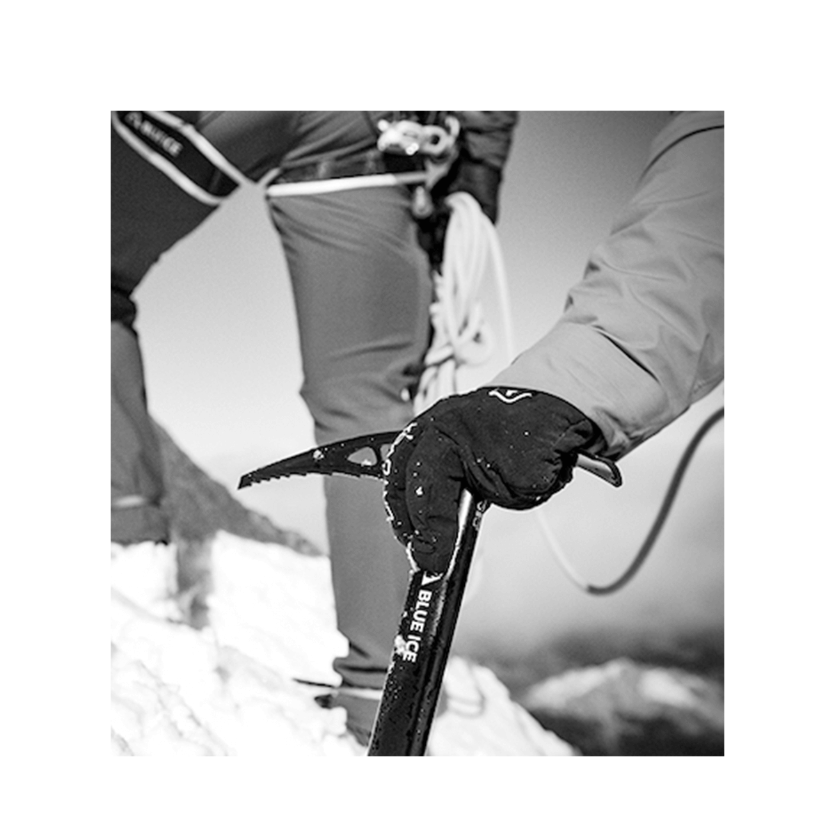 gorniski cepin blackbird blue Ice