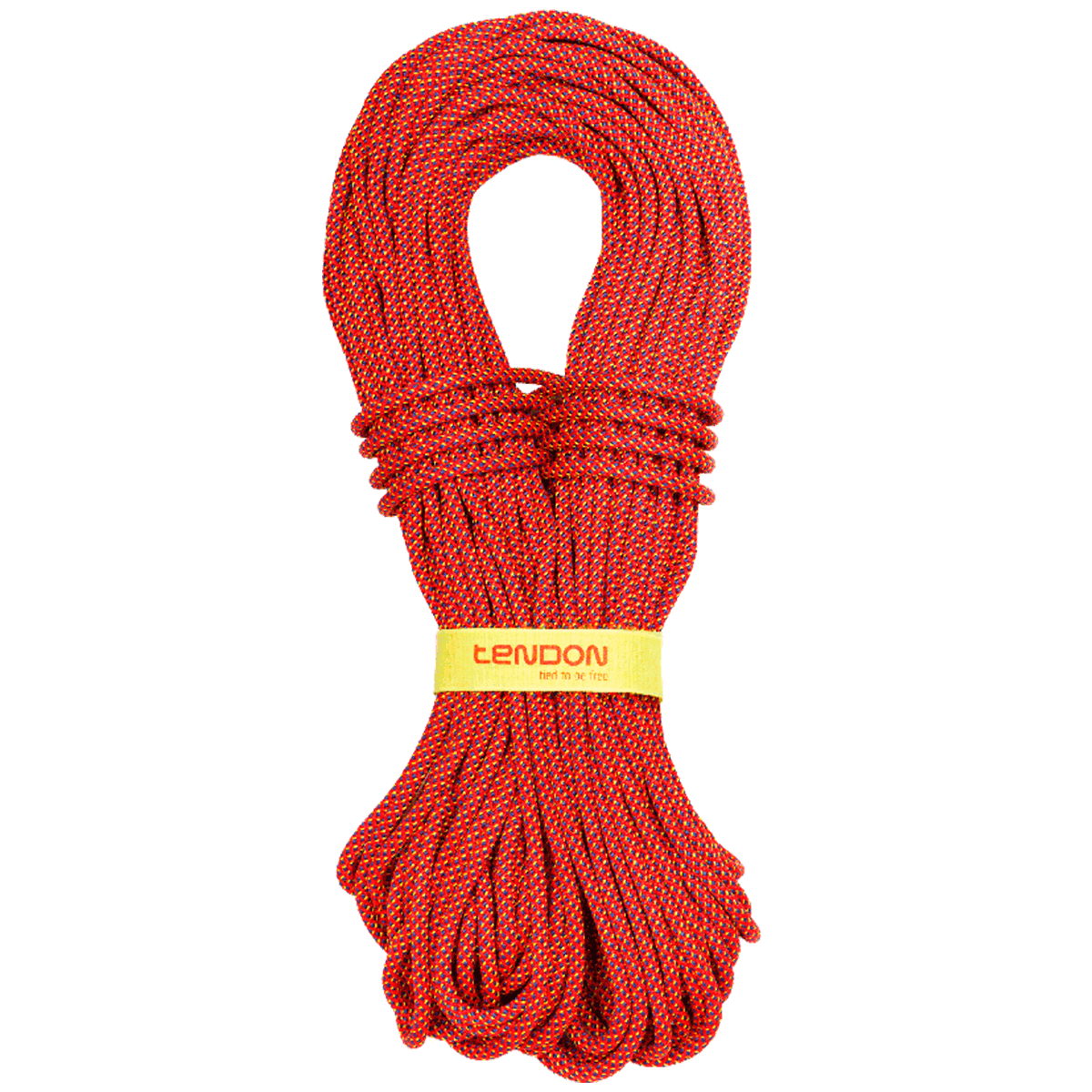 Plezalna vrv Dynamic Alpine 7,9MM 60M