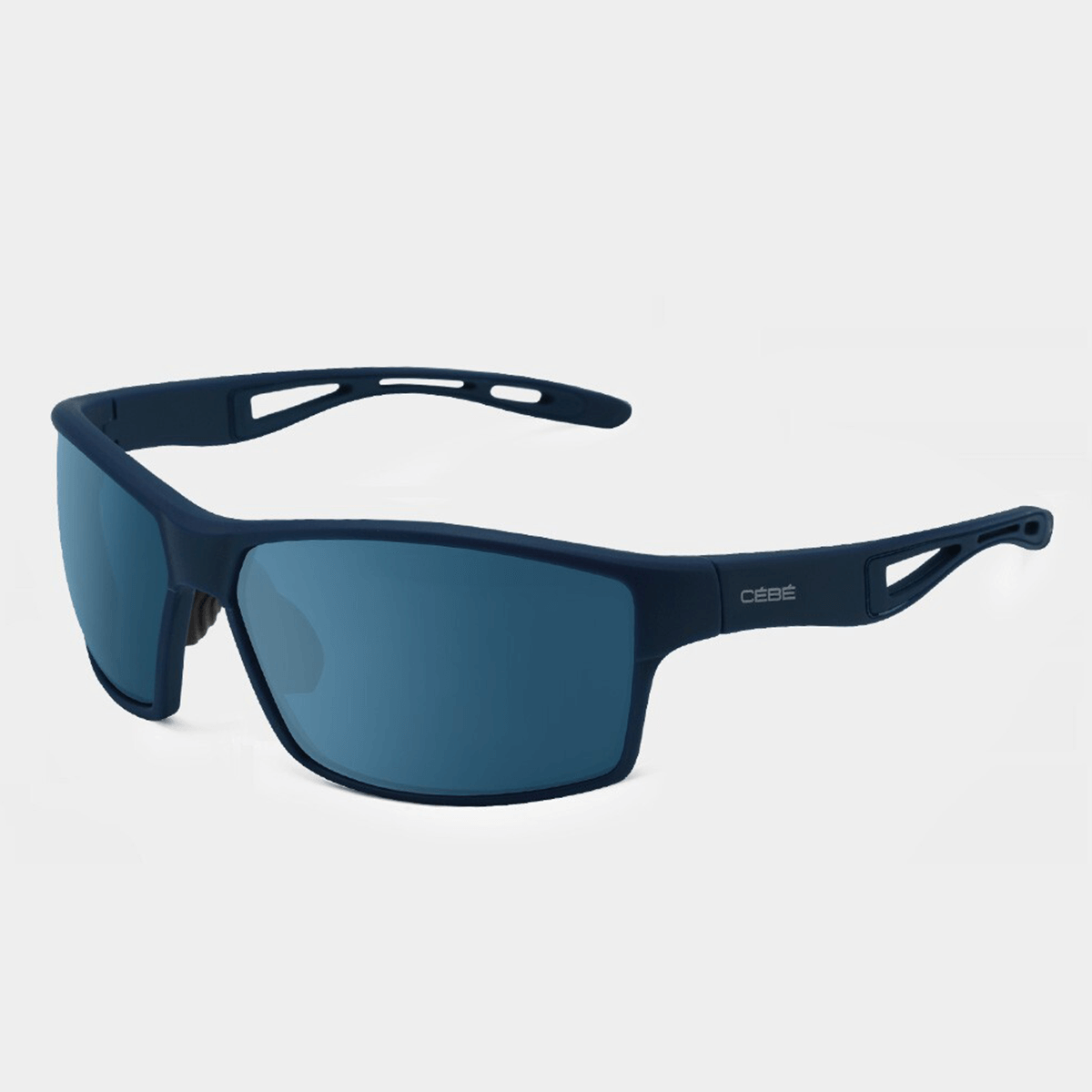 soncna ocala runsight polarized