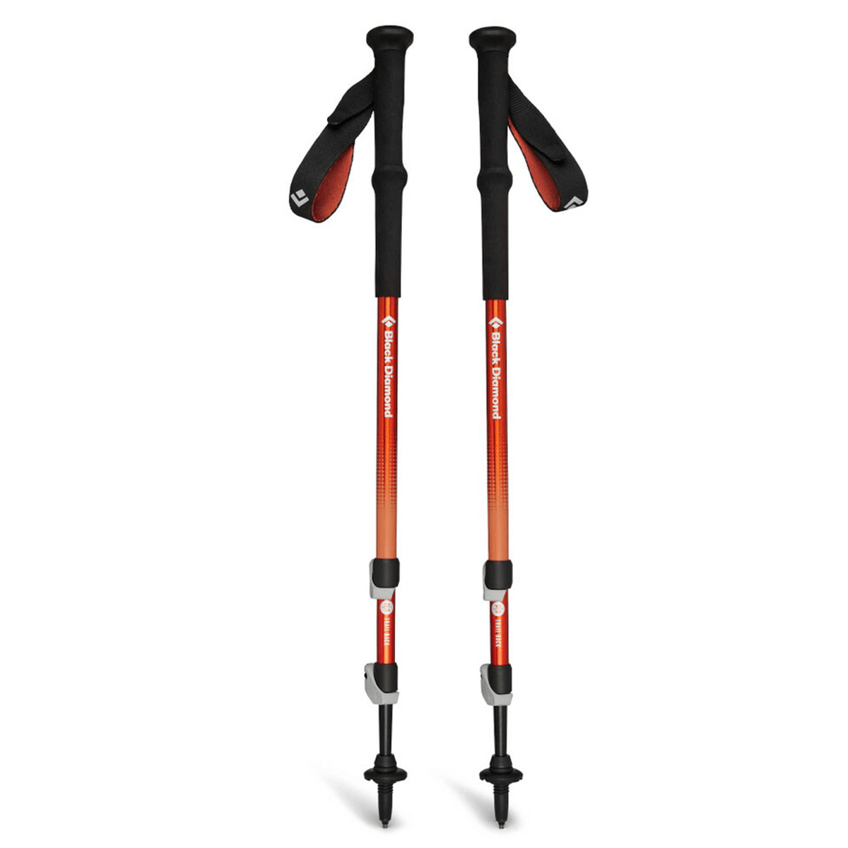 palice trail back trekking