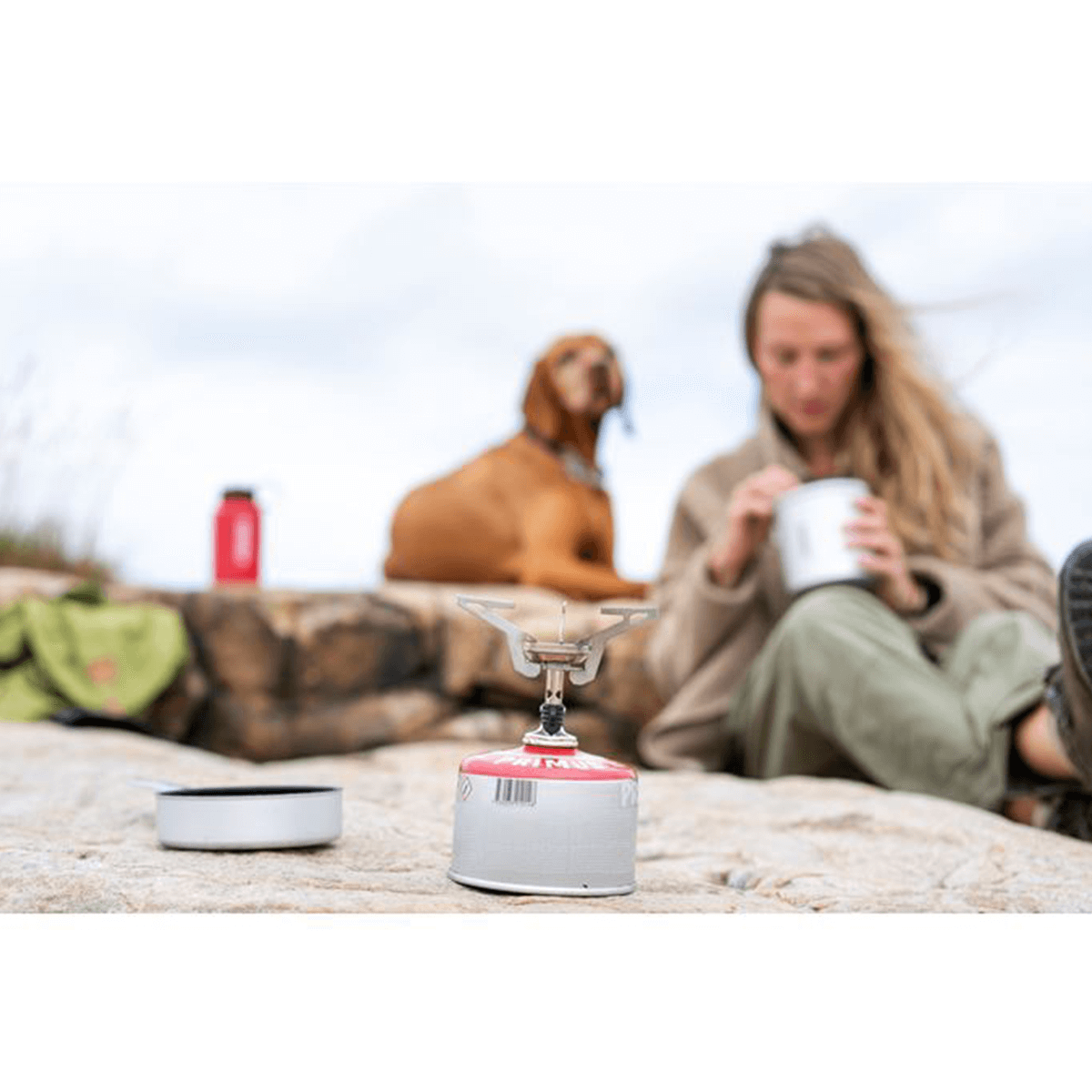 gorilnik express stove