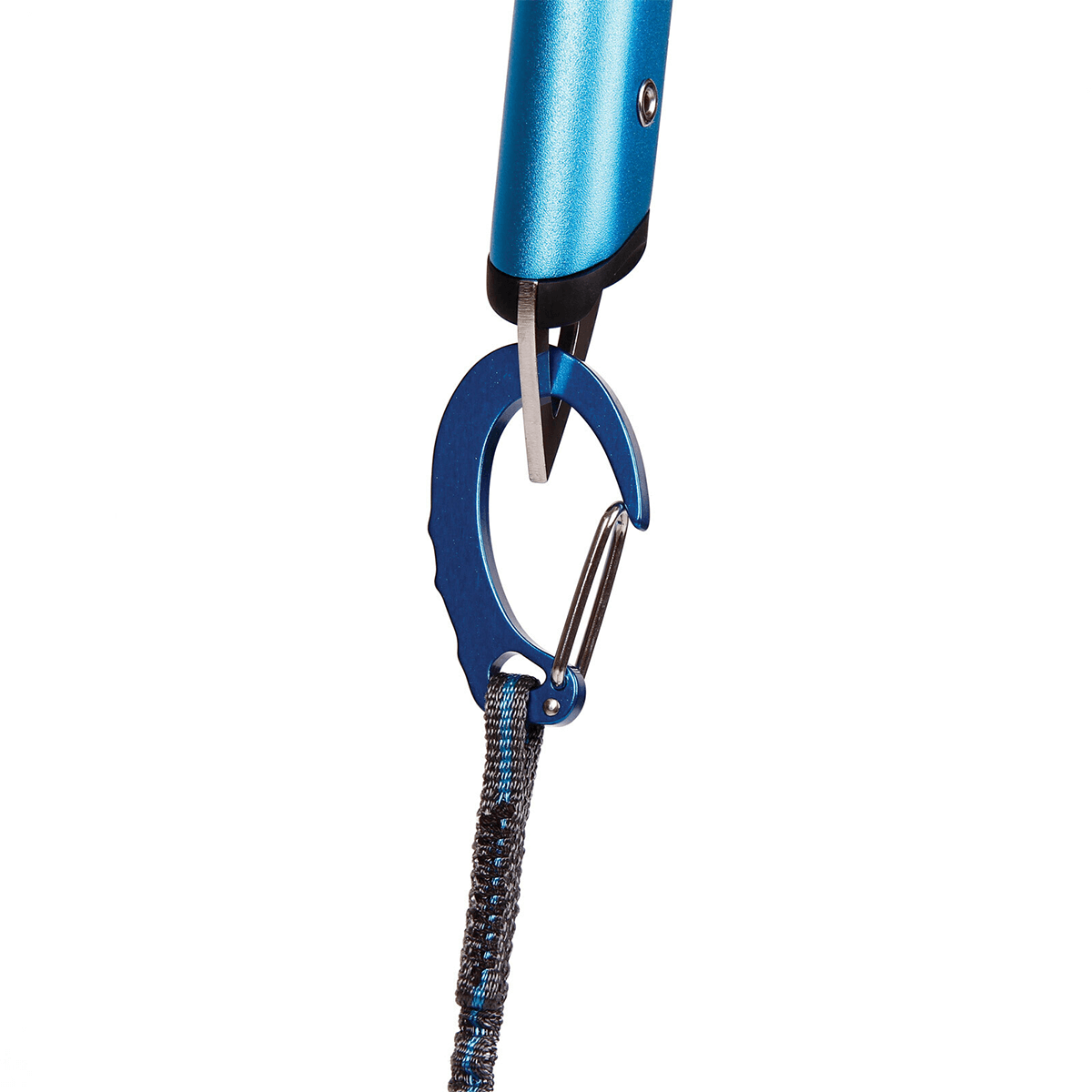 zanka hydra leash