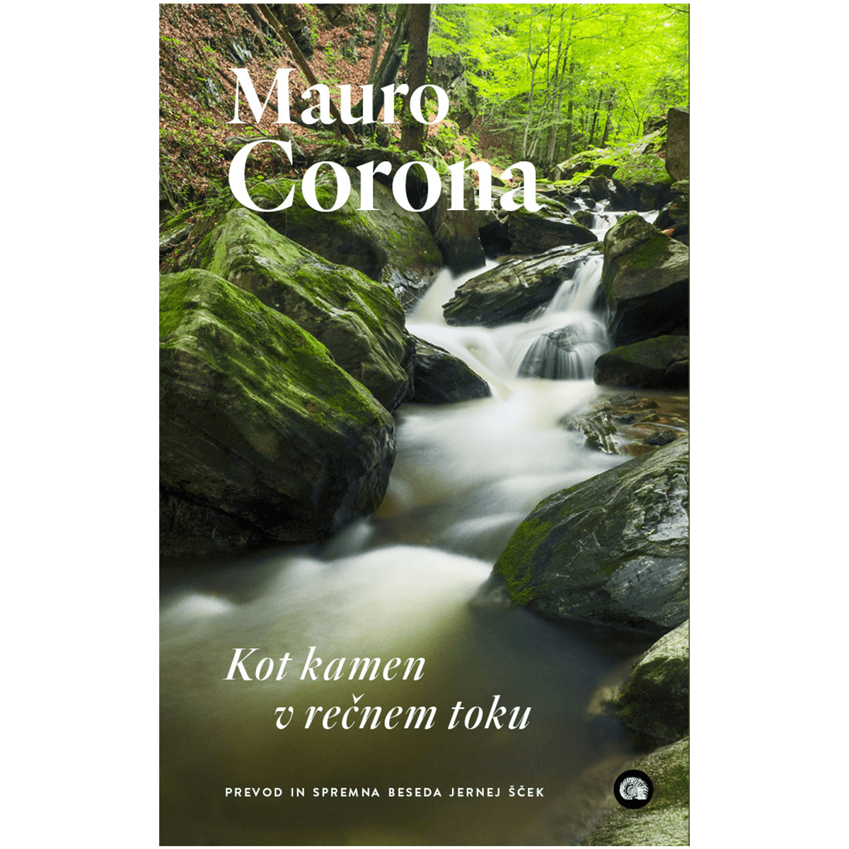 knjiga kot kamen v recnem toku