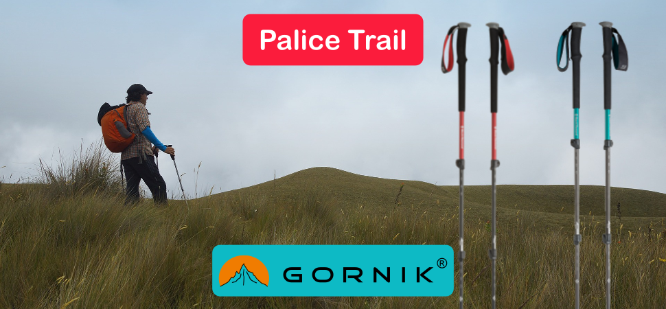 Pohodne palice Trail Black Diamond