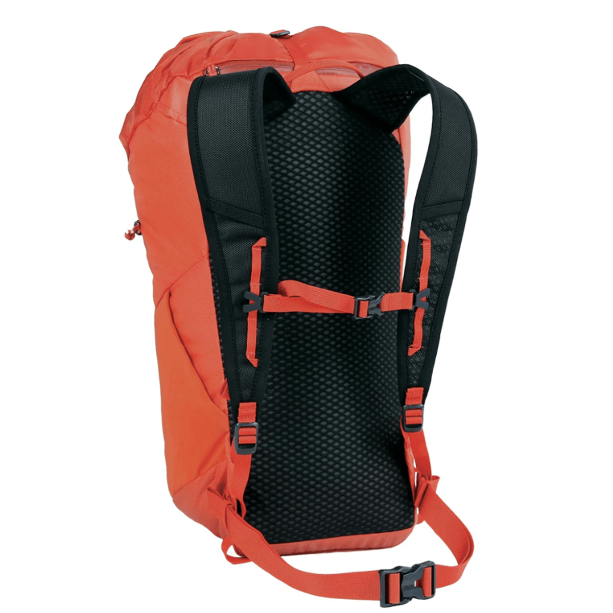 nahrbtnik dragonfly 26