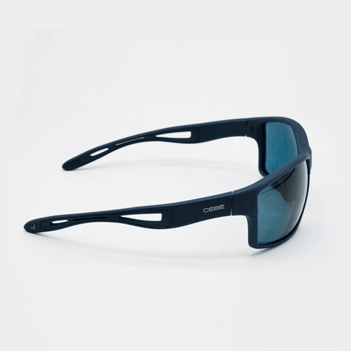 soncna ocala runsight polarized