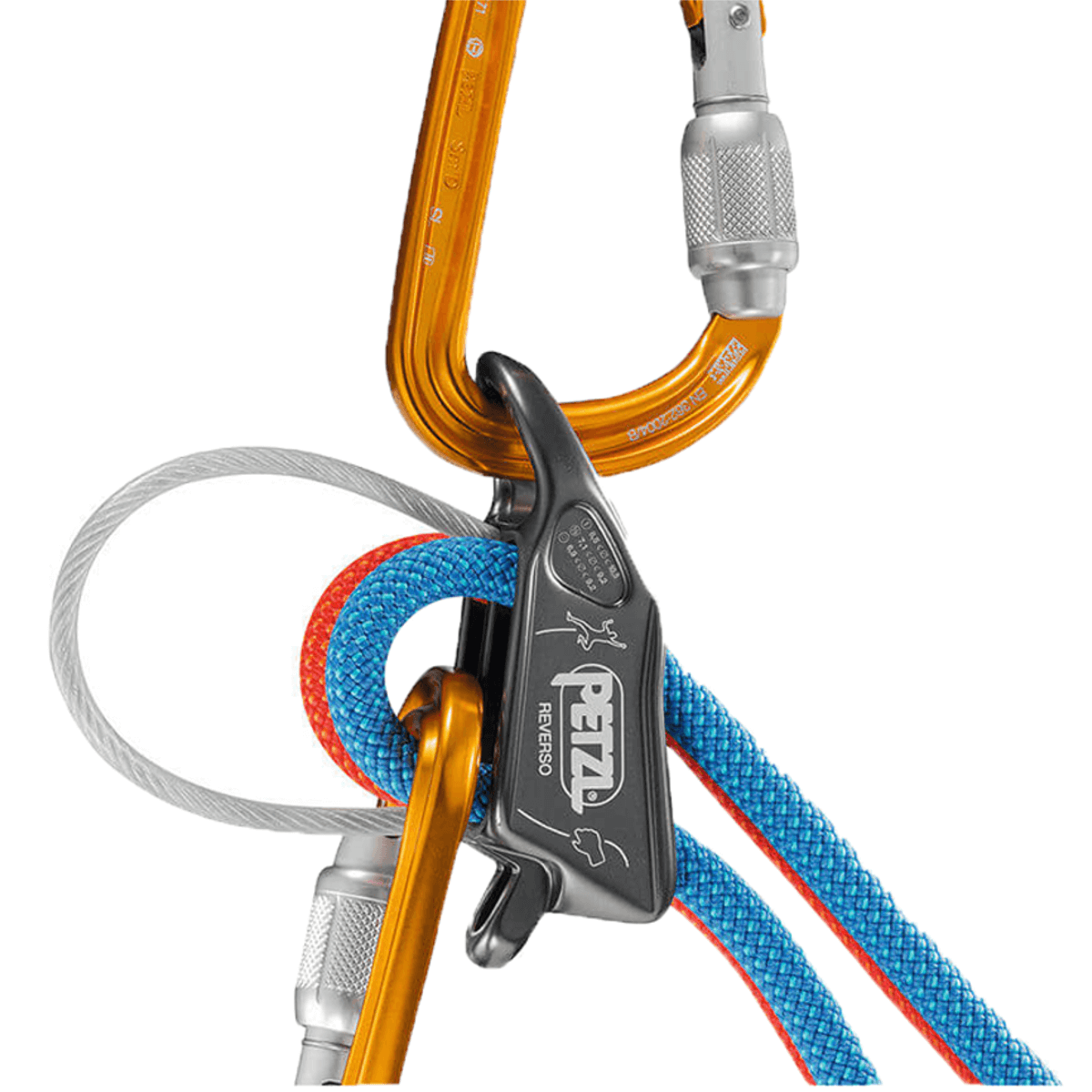 varovalo petzl reverso